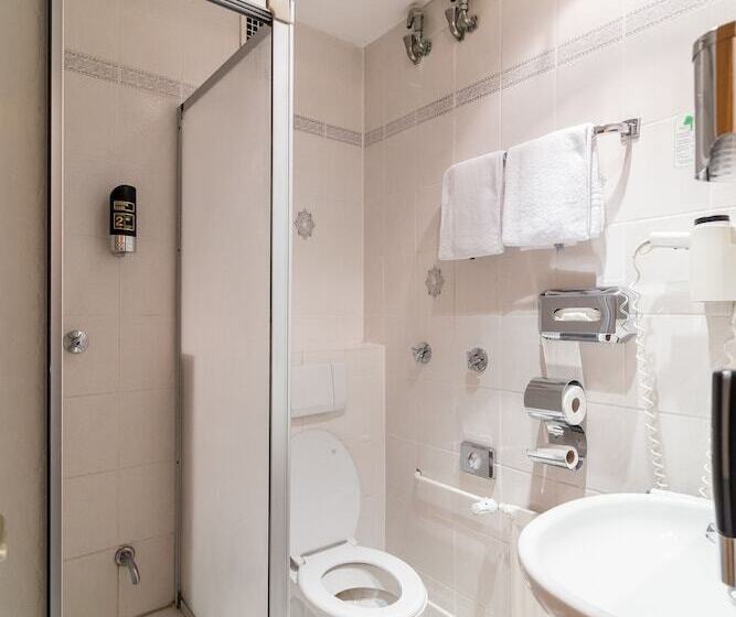 غرفة قياسية فردية, Tagungshotel Höchster Hof