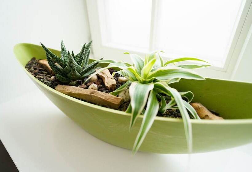 Люкс, Wilder Mann