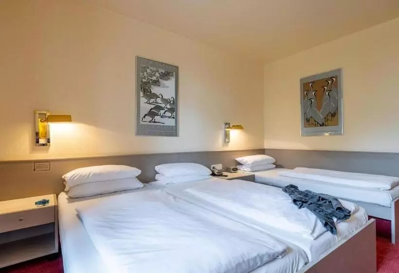 اتاق استاندارد سه نفره, Baden Baden