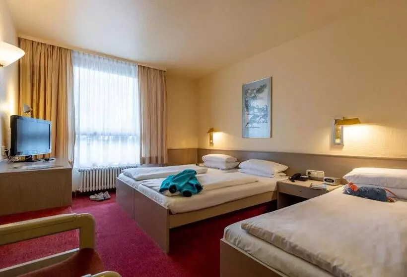 اتاق استاندارد سه نفره, Baden Baden