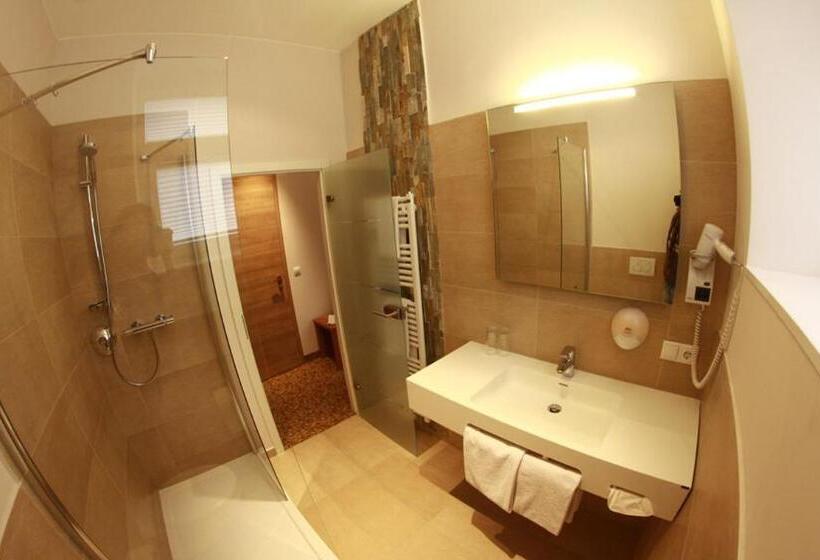 스탠다드 싱글 룸, Schlosshotel Molkenkur