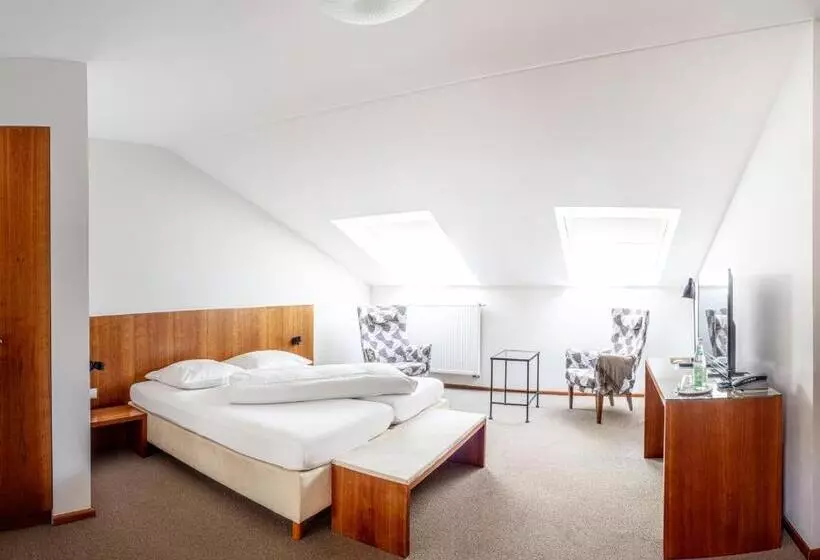Standard-huone, Altstadthotel Wetzel
