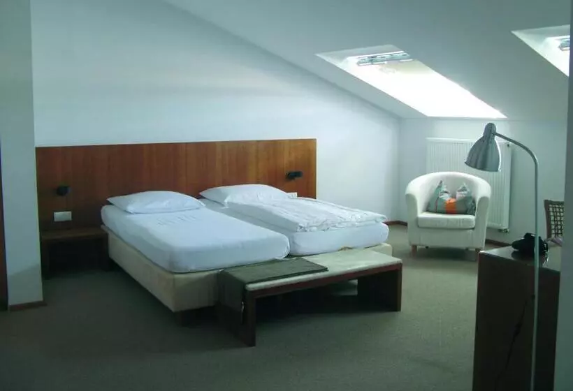 Standard-huone, Altstadthotel Wetzel