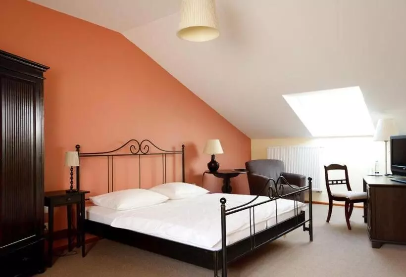 Standard-huone, Altstadthotel Wetzel