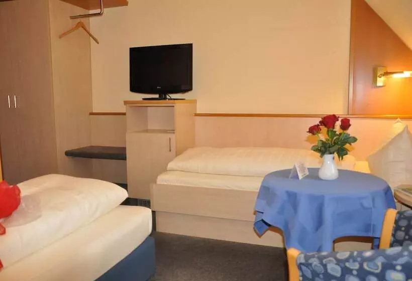 スタンダードルーム, City Partner Hotel Strauss
