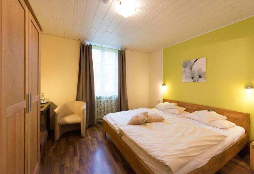 غرفة قياسية, Flair Hotel Hopfengarten