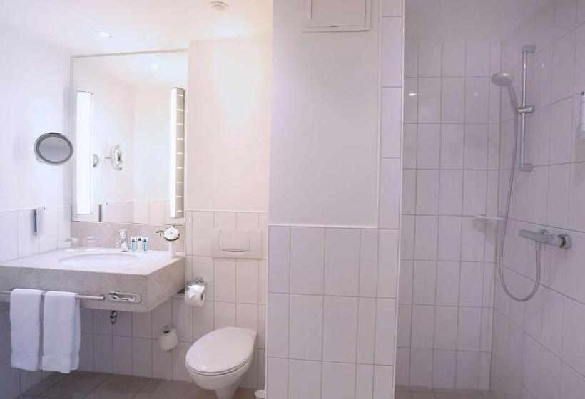 스탠다드 룸, Dorint Hotel Würzburg