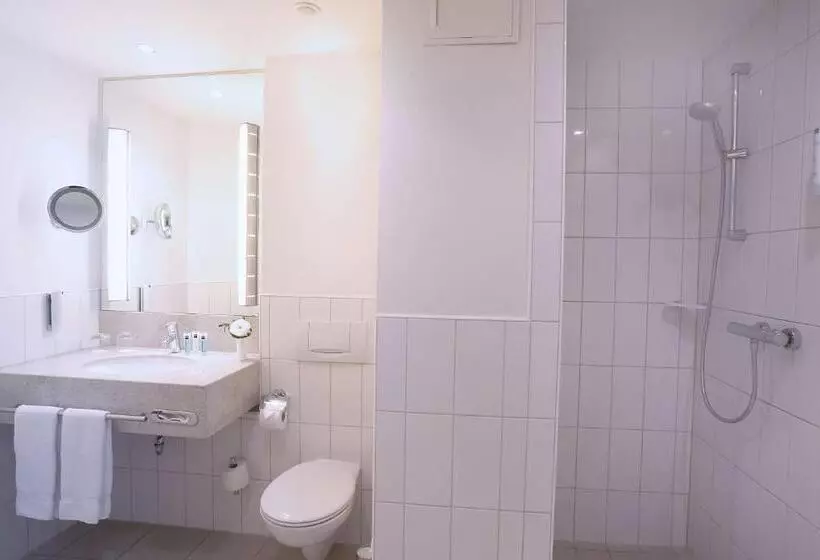 スタンダードルーム, Dorint Hotel Würzburg