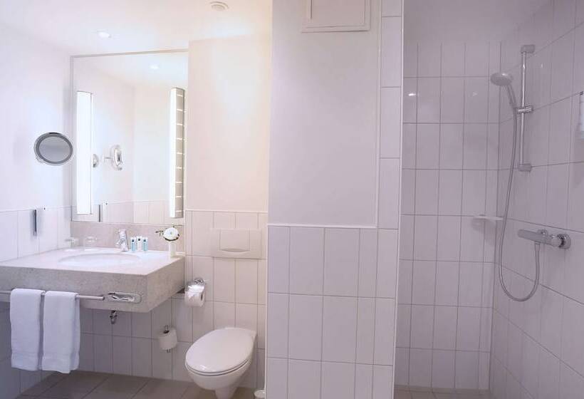 디럭스 룸, Dorint Hotel Würzburg