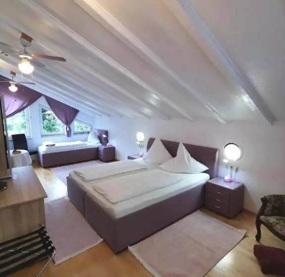 Standard Kolmen Hengen Huone Parveke, Pension Mozart