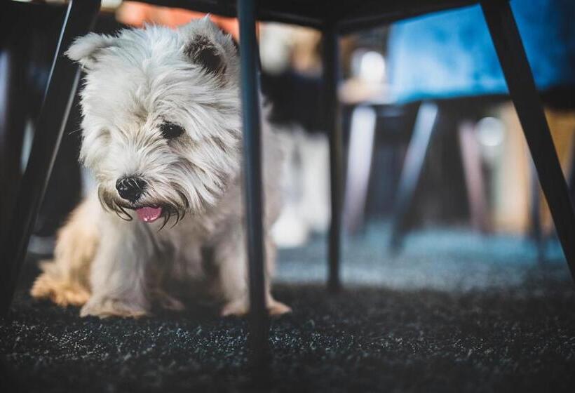 غرفة قياسية ذات إطلالة, Atlantic