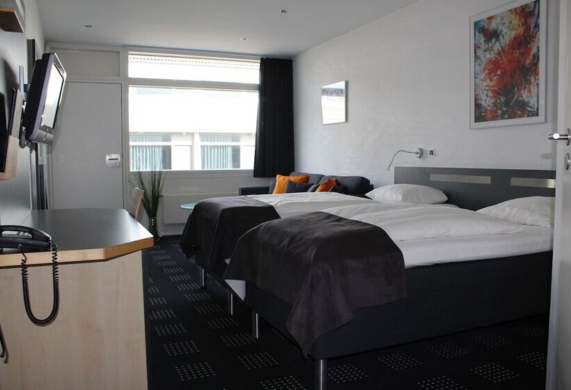 غرفة قياسية, Hedegaarden