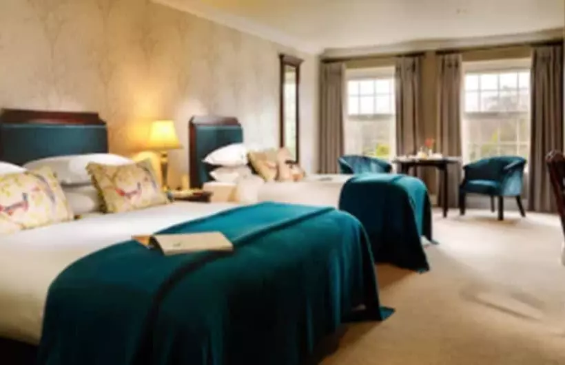 اتاق سوپریور, Ballygarry Estate Hotel & Spa