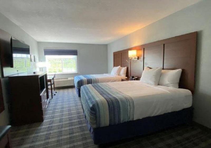 غرفة قياسية, Grand Hôtel Du Parc