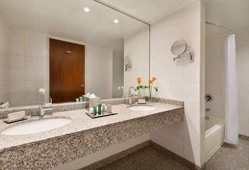 주니어 스위트, Hilton Colon Quito