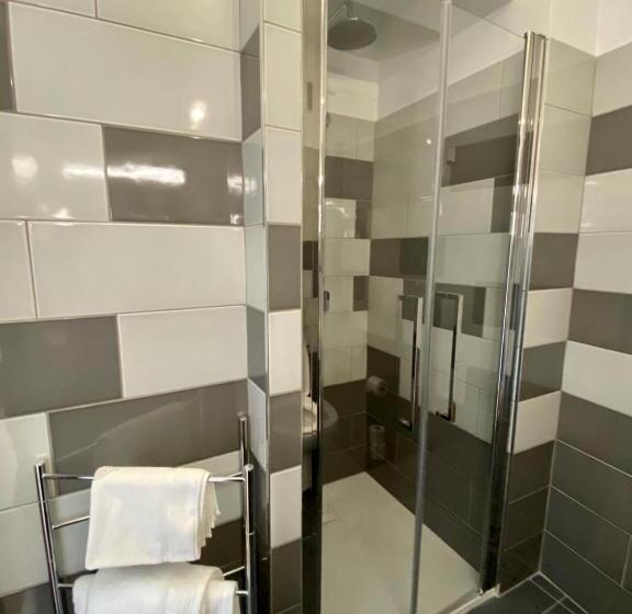 غرفة إقتصادية فردية, Courbet