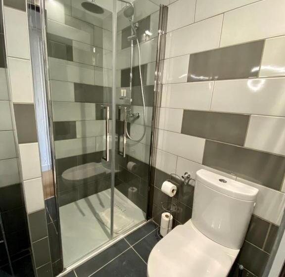 غرفة قياسية داخلية, Courbet