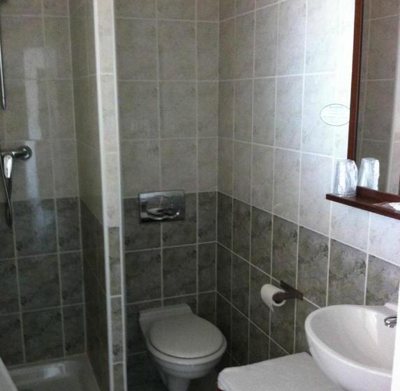 高级大房间, Les Palmiers