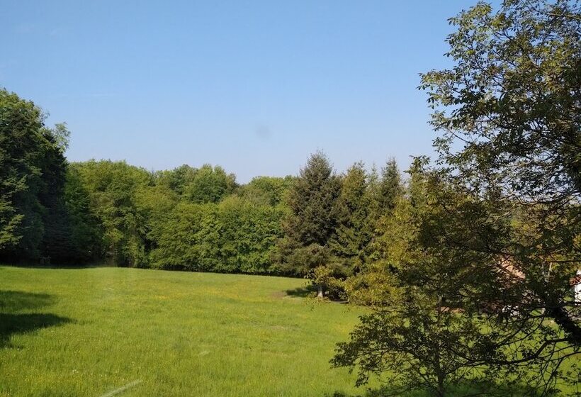 Номер Superior Одноместный, Logis Hôtel Notre Dame Restaurant Ouvert Midi Et Soir Sauf Dimanche Soir