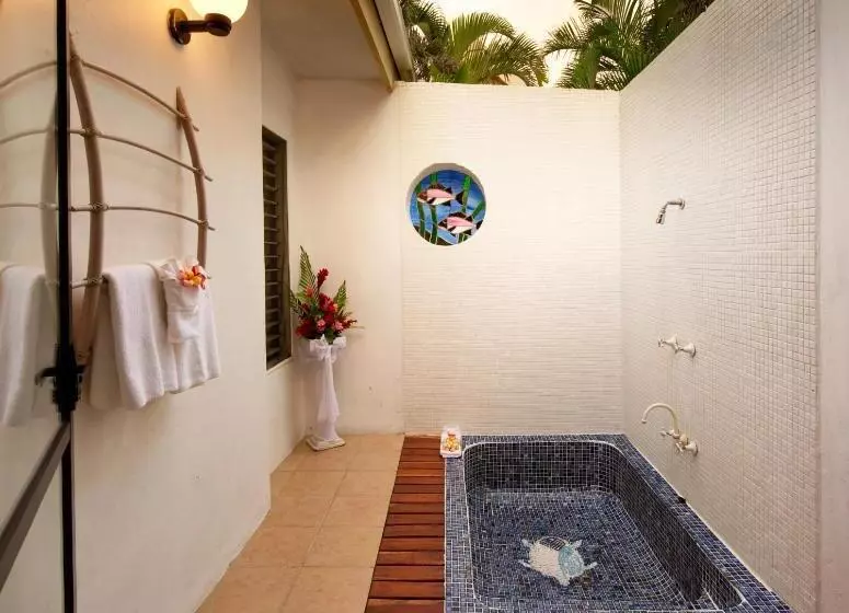 ویلای 1 خوابه, Fiji Hideaway Resort & Spa