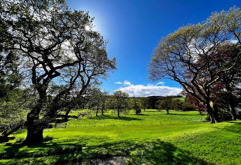 غرفة قياسية سرير كينج, Moffat House