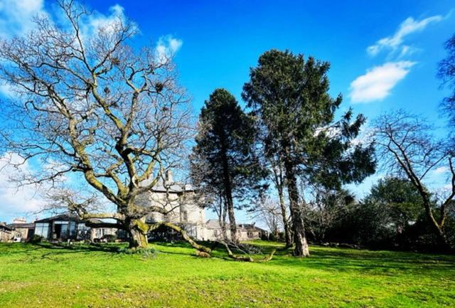 غرفة قياسية, Moffat House