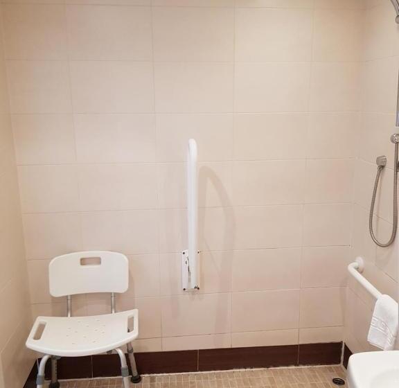 غرفة قياسية سرير كينج لذوى الإحتياجات الخاصة, Rosslea Hall