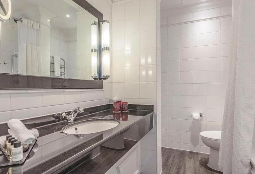 디럭스 룸 킹사이즈 침대, The Grand Brighton