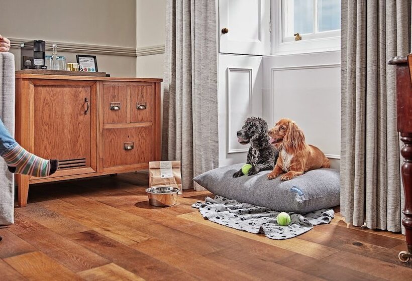 غرفة ديلوكس, Moonfleet Manor   A Luxury Family