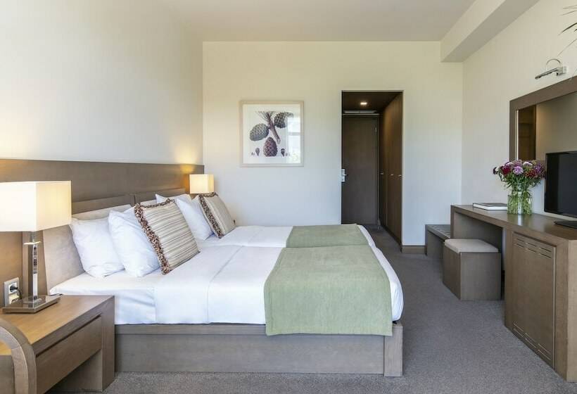 اتاق لوکس, Amalia Hotel Athens