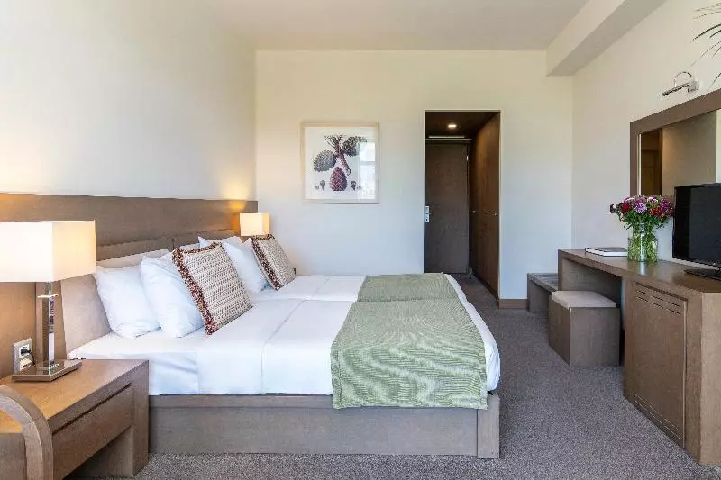 デラックスルーム, Amalia Hotel Athens