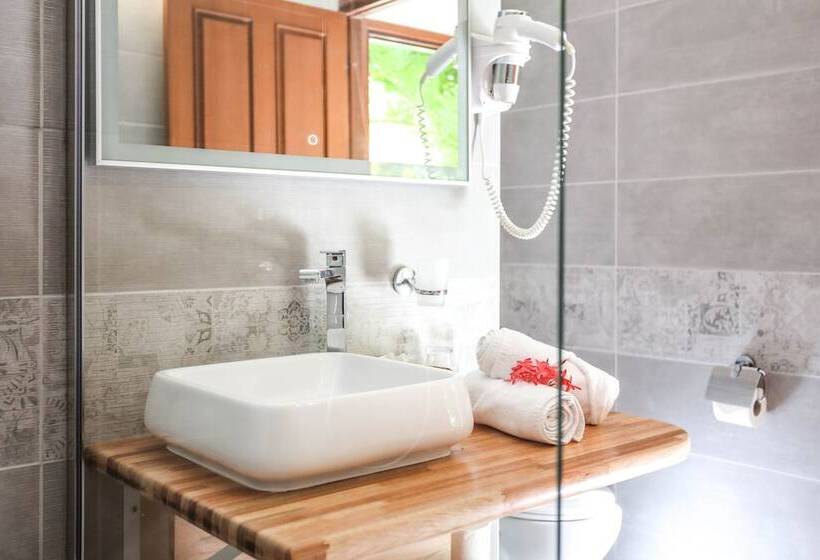 بانگلوی استاندارد, Le Relais Du Moulin Hôtel De Charme & Spa Adult Only