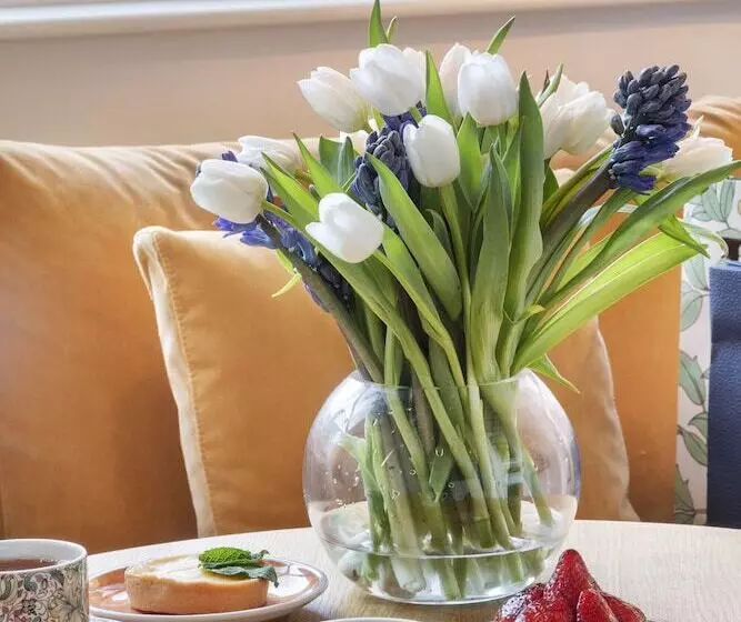 スイート, Meliá London Kensington Member Of Meliá Collection