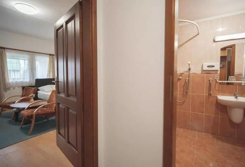 اتاق راحتی, Hőforrás