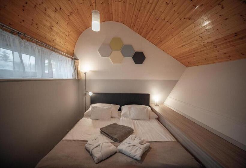 Апартаменты Superior 1 Спальня, Hőforrás