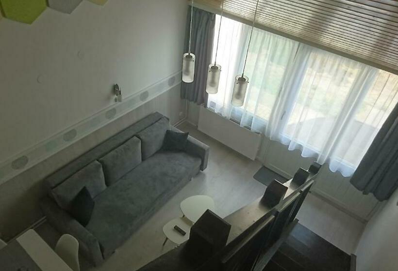 Апартаменты Superior 1 Спальня, Hőforrás