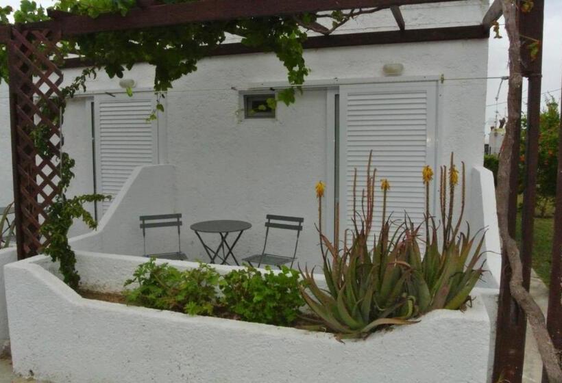 Бунгало Стандарт, Kokalakis