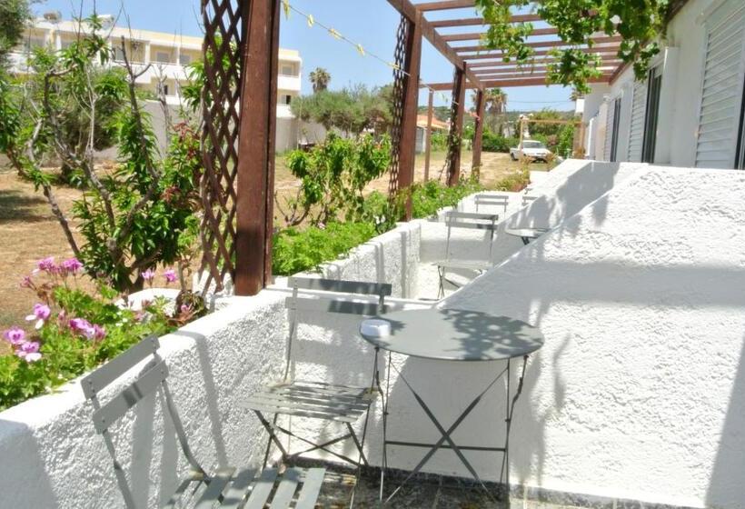 Бунгало Стандарт, Kokalakis