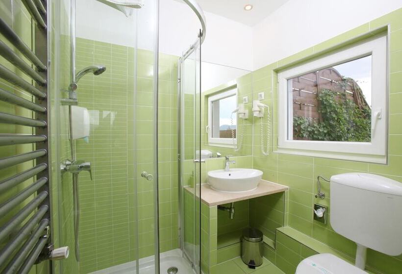 Номер Стандартный с Видом, Medos