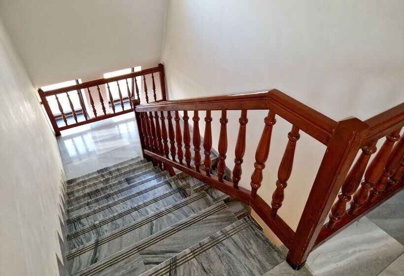 Номер Economy, Medos