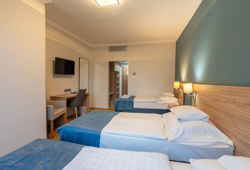 Трехместный Номер Комфорт, Medos