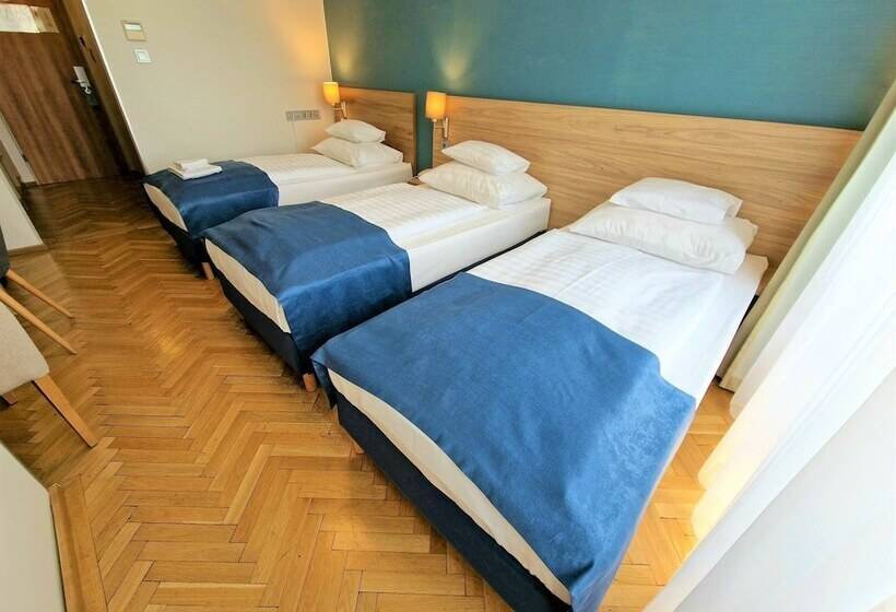 Трехместный Номер Комфорт, Medos