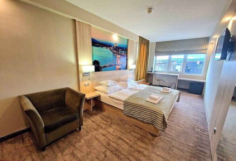 Номер Стандартный с Видом, Medos