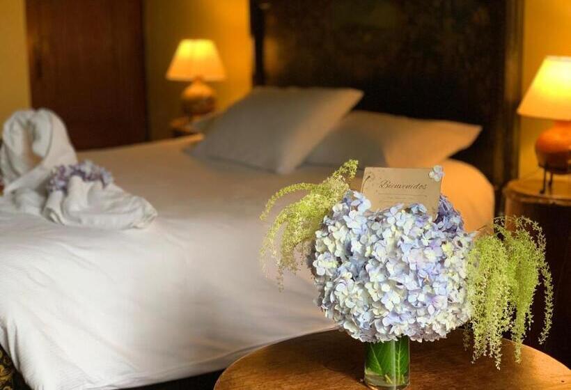 اتاق استاندارد, Museo Mayan Inn