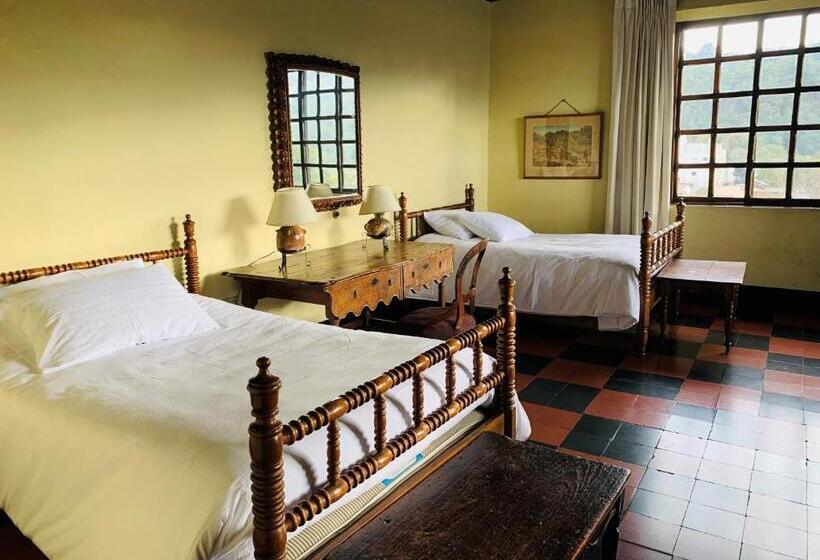 اتاق استاندارد, Museo Mayan Inn