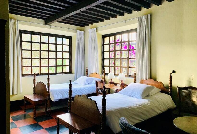 اتاق استاندارد, Museo Mayan Inn