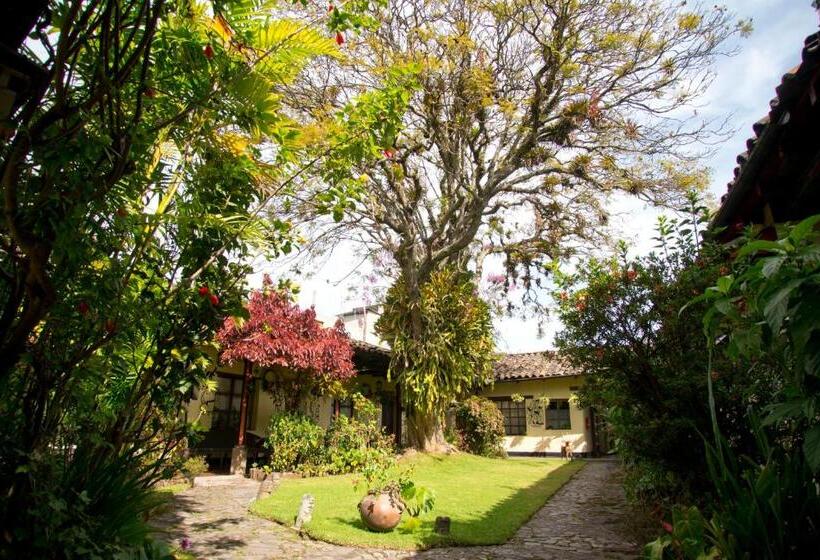 اتاق استاندارد, Museo Mayan Inn