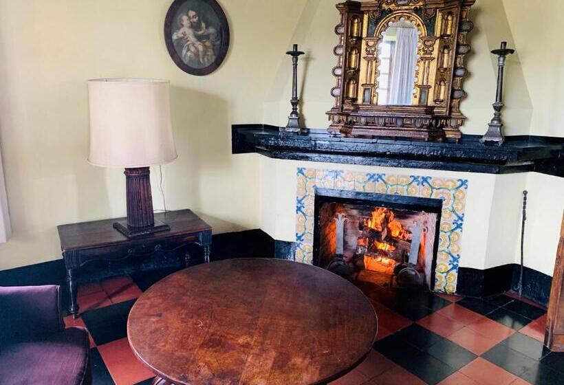 سوییت, Museo Mayan Inn