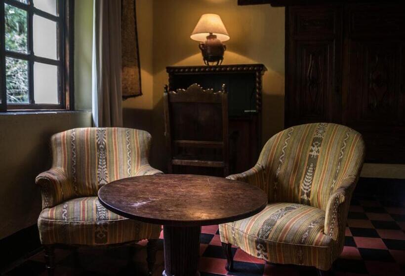 اتاق استاندارد یک نفره, Museo Mayan Inn