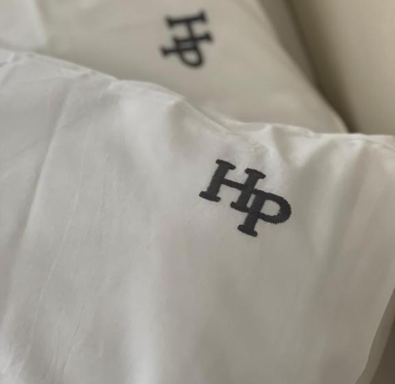 エコノミーシングルルーム, Platon